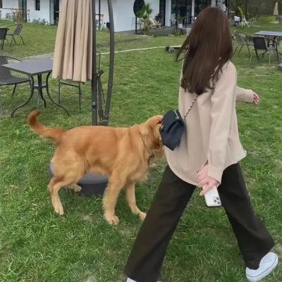 最后的机器人